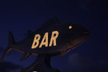 BAR FISCH
