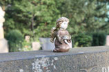 GRABSTEIN-ENGEL