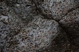 BASALT
