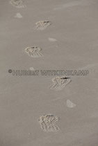 FUSSSPUREN IM SAND