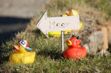 BADEENTEN