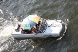 DWM AMPHICAR 770