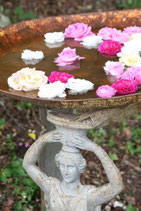 ROSENWASSER