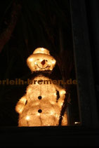 LICHT-SCHNEEMANN