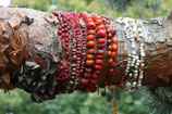BAUMSCHMUCK  II