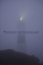 LEUCHTFEUER IM NEBEL