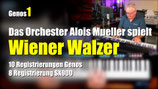G051 Das Orchester Alois Mueller spielt Wiener Walzer