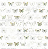 Summervogel in Reihen – Sommerpoesie