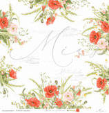 Klatschmohn – Blüten am Feldrand