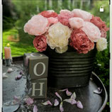 Stanze für Kreppblume / 413 L