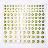 Enamel Dots „Kräutergarten“