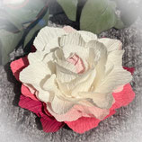 Stanze für Kreppblume / 412 L