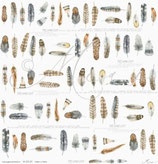 Federn in Reihe – Federleicht