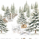 Winterwald – Winterwald