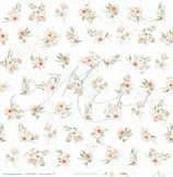 Mohn in Reihen – Herbstpoesie