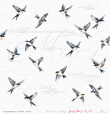 Schwalben – Romantischer Frühling