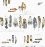 Federn – Federleicht