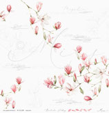 Magnolien – Romantischer Frühling