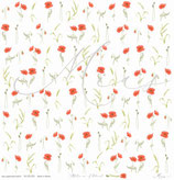 Mohn in Reihen – Blüten am Feldrand