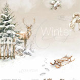 Winter -  Winterwald