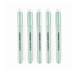 Mini Blending-Pinsel 5 Stück