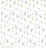 Rittersporn in Reihen – Romantischer Sommer