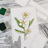 Frühlings Blume - Stanze