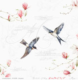 Frühlingsboten – Romantischer Frühling