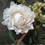 Stanze für Kreppblume / 412 Mini & S