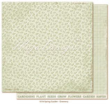 Spring Garden: Greenery