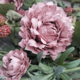 Stanze für Kreppblume / 445 Mini & S