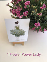 Flower-Power-Ladys Energie pur