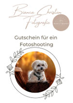 Gutschein Digital an deine Email Adresse