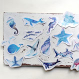 Sticker Set ~ Meereswelt | 50 Stück