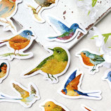 Sticker Set Vögel ~ 46 Stück | Aufkleber