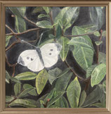 Cabbage White (50 x 50)