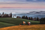 Leinwandbild Bodensee 80x120cm "Augenblick"