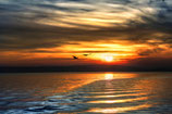 Leinwandbild 50x75cm "Bodensee-Impresionnen"