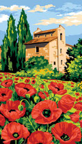 103 5038 CAMPO DI PAPAVERI