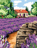 152 61 CAMPO DI LAVANDA
