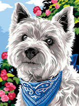 926 390 CUCCIOLO CON BANDANA