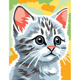 766 6024256 GATTINO