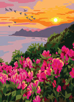 CA6 338 VISTA CON FIORI