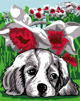 KCB2025 58 CUCCIOLO NEI FIORI