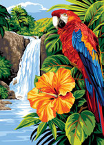 929 766 PIUME E FLORA