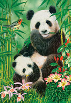 CL C1049872 I PANDA  1000 PZ