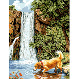 5065 104 CANE ALLA CASCATA