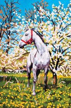 CA6 172 CAVALLO BIANCO