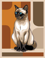 143M 2484 GATTO SIAMESE