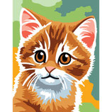 766 6024257 GATTINO